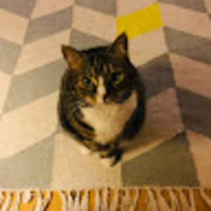 Meet your Posher, Mae